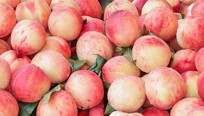 ˮ���ҵĹ�Ч������ ˮ����ͼƬ